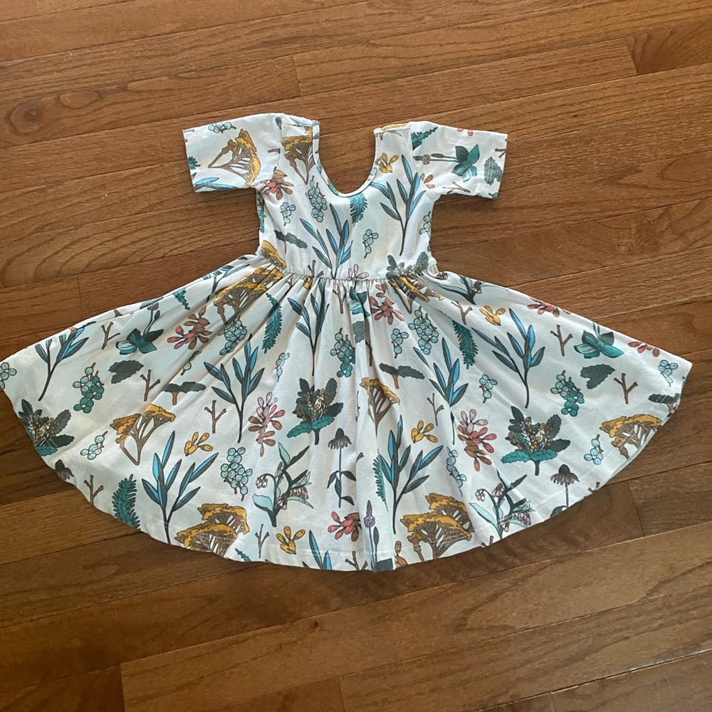Alice and Ames dress